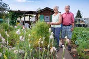 «Wir wollten unseren Garten so naturnah wie möglich gestalten»: Elsbeth und Toni Schäfler in ihrer blühenden Oase. (Bild: Urs Bucher (2. Juli 2019))