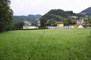 Der Neubau der Kuhn Back & Gastro AG soll in Brunnadern zwischen Necker und Gewerbestrasse entstehen. (Bild: Urs M. Hemm)