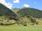 In Ulrichen im Obergoms ist eine Frau bei einem Wanderunfall ums Leben gekommen. Sie wurde auf dem Gommerhöhenweg von einem talwärts rollenden Baum getroffen und verstarb auf der Stelle. (Bild: Kantonspolizei Wallis)