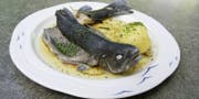 Forelle im Restaurant Clairbief Bild: zvg