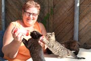 Nicht nur am helllichten Tag muss Monika Riepl den Katzennachwuchs ernähren.(Bild: Yann Lengacher)