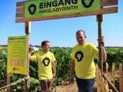 Andreas Beurer und Marc Azzali am Eingang zu ihrem Maislabyrinth. (Bild: Martina Eggenberger)