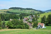 Im Vordergrund der Weiler Tannen mit dem Wohnhaus von Sepp und Margrit Rutz (rechts). Im Hintergrund die Häusergruppe des Weilers Rupperswil. Die Erhebung links hinten ist der Hüsligs. (Bild: Beat Lanzendorfer)