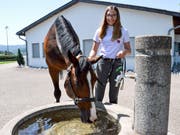 Ein starkes Team: Aaliyah Laurino mit «Cairo vd. Pikkerie Z» in der Eschliker Reitanlage Herdern. (Bild: Christoph Heer)