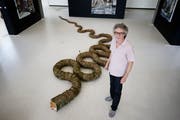 Urs-P. Twellmann vor seiner 7,2 Meter langen Installation «Im Terrarium». (Bild: Stefan Kaiser, Zug, 5. Juli 2019)