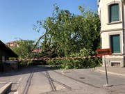 (Leserbild, Luzern, 6. Juli 2019)