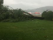 Beim Lido in Luzern. (Leserbild)