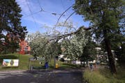 (Bild: Philipp Schmidli, Luzern, 6. Juni 2019)