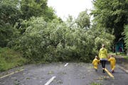 Kurz nach dem Unwetter schien schon wieder die Sonne und das Ausmass der Zerstörung war sichtbar, wie hier an der Seeburgstrasse. (Bild: Philipp Schmidli (Luzern, 6. Juli 2019)