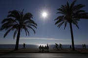 An der Promenade des Anglais in Nizza ist der Kampf gegen die Schädlinge besonders schwierig. Die Stadtbewohner fordern nun radikale Massnahmen. (Bild: Valery Hache/AFP)