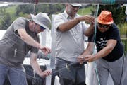Im August 2018 haben Experten den Ägerisee befischt und die Resultate ausgewertet. (Werner Schelbert, 28.August 2018)
