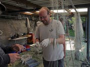 Pascal Vonlanthen von der Firma Aquabios untersuchte im Rahmen des «Projet Lac» zusammen mit dem Amt für Wald und Wild im August 2018 die Fischfauna im Ägerisee.