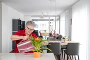 (Bild: Philipp Schmidli, Kriens 27. Juli 2019)