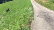 (Bild: Kantonspolizei Aargau)