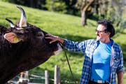 Mändel Nussbaumer betreut Kolin liebevoll. (Bild: Alexandra Wey / Keystone, 1. Juni 2019)