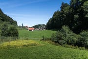 Derzeit ist der Bach rechts noch kaum zu sehen. (Bild: Michel Canonica/9. August)