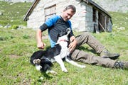 Hirthunde sind für Rainer Frei Arbeitstiere und gleichzeitig Freunde. (Bild: Christof Hirtler, Realp, 30. Juli 2019)