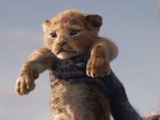 «The Lion King» setzte sich am Wochenende vom 8. bis 11. August 2019 nach einem Unterbruch von einer Woche wieder an die Spitze der Deutschschweizer Kinocharts. (Bild: The Walt Disney Company (Switzerland) GmbH)