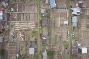 Das Mosaik der Familiengärten an der Ruckhalde. (Bild: Benjamin Manser - 25. März 2019)