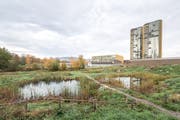 Das neu gestaltete Allmend-Areal Ost. Wo früher Parkplätze waren gibt es nun Biotope, Amphibien, Blumen etc. (Bild: Roger Grütter, Luzern, 6.November 2018)