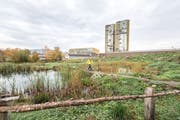 Biotope wie in der Luzerner Allmend soll es gemäss dem Luzerner Regierungsrat im Kanton mehr geben. (Bild: Roger Grütter, 16. November 2018)