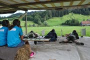 Das Feldschiessen im Obertoggenburg wird von einem Feldstand geschossen, in diesem Jahr in Nesslau. (Bild: Sabine Camedda)