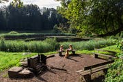 Wagenmoos - eine idyllisch gelegene Lichtung im Meggerwald mit künstlich angelegtem Weiher. (Bild: Boris Bürgisser, 9. August 2019)
