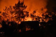Der grossflächige Waldbrand in Euboa. (Bild: EPA/14. Juli 2019)