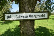 Alle Bäume sind angeschrieben. (Bild: Markus Schoch)