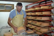 Die Käselaibe wiegen 3,5 Kilogramm. (Bild: Adi Lippuner)