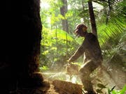 In Brasilien wird verstärkt Amazonas-Regenwald zerstört zugunsten der Agrarindustrie, die neue Flächen für den Anbau von Soja und die Rinderzucht benötigt. (Bild: KEYSTONE/EPA EFE/MARCELO SAYAO)