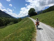 Durch Wiesen und Wälder mit Aussicht. Bild: Jan Hlavica