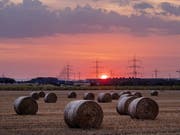 In Deutschland wurde im Juli erstmals seit Beginn der Wetteraufzeichnungen die 42-Grad-Marke durchbrochen. (Bild: Keystone/AP/MICHAEL PROBST)