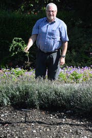 Bernhard Bischof beim Rosengarten Harmonie; vorne ein Beet, aus dem die Rosenstöcke entfernt wurden. (Bild: Georg Stelzner)