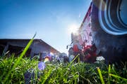 Auf dem Betrieb in Tänikon verfügt das BBZ Arenenberg auch künftig über «normal» bewirtschaftete Flächen. (Bild: Andrea Stalder)