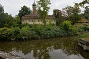 Der Park der Luxburg reicht bis ans Wasser. (Bild: Reto Martin)