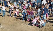 Beim Spatenstich packen die Kinder tatkräftig mit an. Bild: Gianni Amstutz