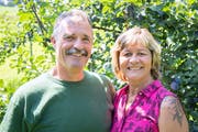 Rolf und Andrea Angehrn setzen auf die frühe Sorte Cacaks Schöne aus Serbien. (Bilder: Urs Bucher, Lömmenschwil, 14. August 2019)