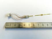 Mithilfe eines neuen Elektrodentyps liesse sich der Sehnerv stimulieren und damit Lichteindrücke erzeugen. (Bild: EPFL / Markus Ding)