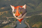 Leo Ersfeld ist mit seiner Katze im Gebiet der Mosel unterwegs. (Bild: PD)