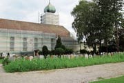 Hinter den ersten Gräbern wird bereits versucht, mit heimischen Pflanzen mehr Biodiversität auf den Friedhof zu bringen. (Bild: Ines Biedenkapp)