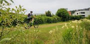 Im Riederenholz, an der Nahtstelle zwischen Natur und Stadt führt ein Singletrail entlang. (Bild: Peter Hummel)
