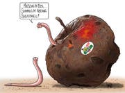 Die Karikatur von Silvan Wegmann zum umstrittenen SVP-Wahlplakat.