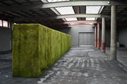 Neben der «Hecke» kommt der Boden in den Blick, der die Zeit in seiner Oberfläche gespeichert zu haben scheint. (Bild: Brigitte Elsner-Heller)