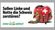 Der Gegner als Ungeziefer: Dieses neue Plakat stösst selbst innerhalb der SVP auf Kritik. (Bild: PD)