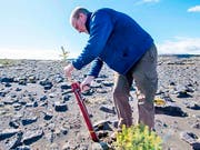 Hreinn Oskarsson, Director beim Icelandic Forest Service, hilft mit, Bäume auf dem Lava-Gelände bei Thorlakshofn zu pflanzen. (Photo by Halldor KOLBEINS / AFP) (Bild: Keystone/AFP/HALLDOR KOLBEINS)