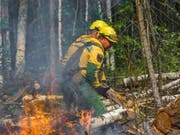 Die Feuer haben laut der Forstverwaltung mittlerweile eine Fläche von mehr als drei Millionen Hektar zerstört. (Bild: KEYSTONE/)