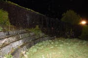 Anwohner versuchten vergeblich die Hecke zu löschen. (Bild: Kapo SG)