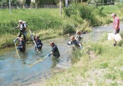 Der Wettibach ist für gewöhnlich ein schmales Bächlein, seit letzter Nacht hält er jedoch die Feuerwehren auf Trab. (Archivbild: Esther Wyss)