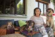 Edith Zellweger in ihrem Zuhause. Die 65-Jährige ist eine bekennende Sympathisantin der Tierbefreiungsfront. (Bilder: Adriana Ortiz Cardozo)